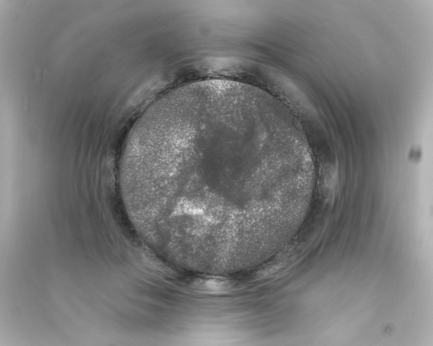 X0000090440506200708102030