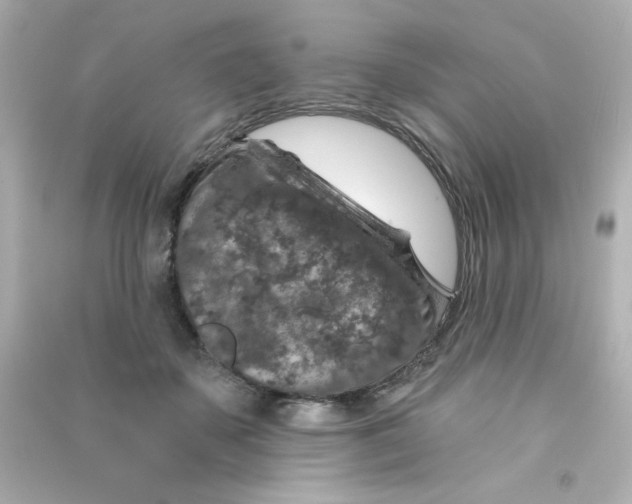 X0000090440507200708102030