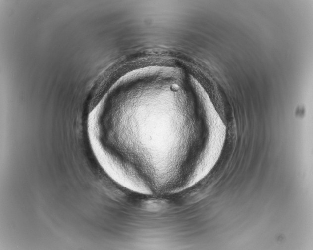 X0000090440508200708102030
