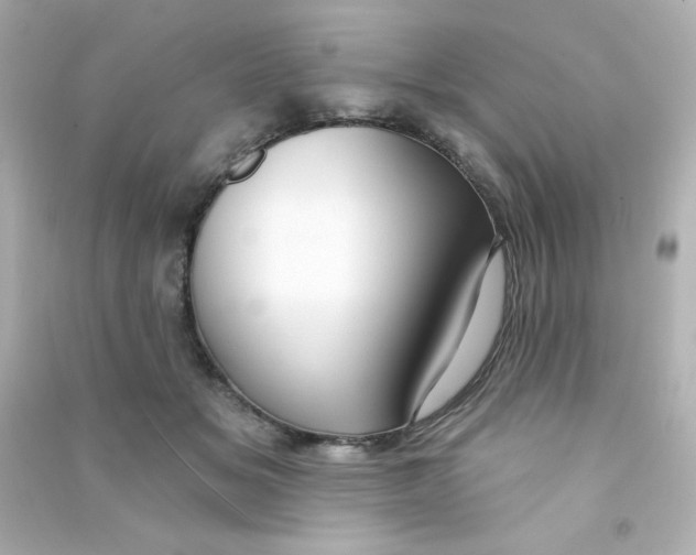 X0000090440509200708102030