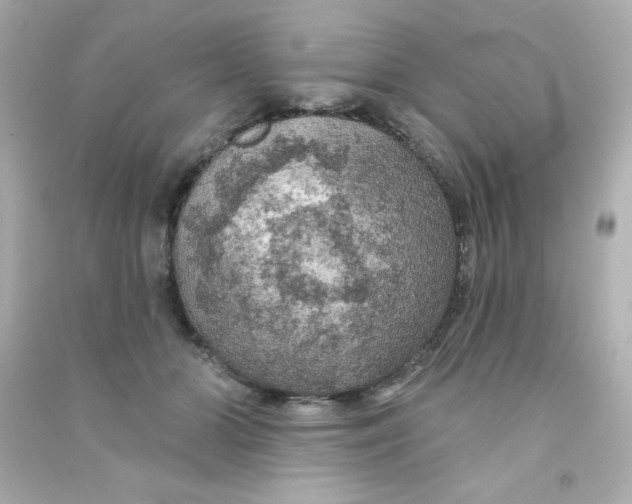 X0000090440510200708102030
