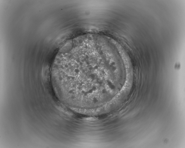 X0000090440511200708102030