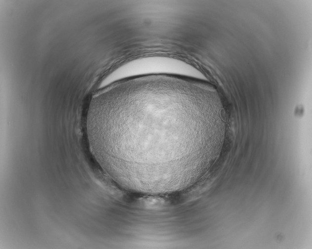 X0000090440512200708102030