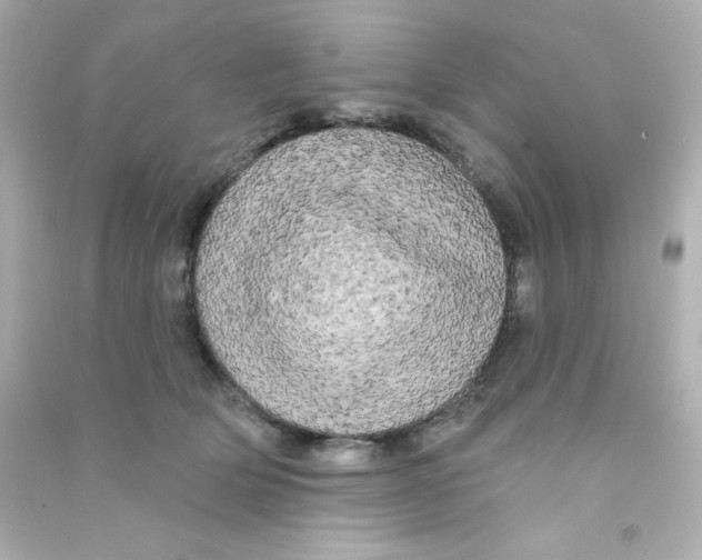 X0000090440514200708102030