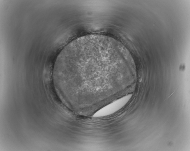 X0000090440515200708102030