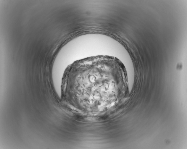 X0000090440516200708102030