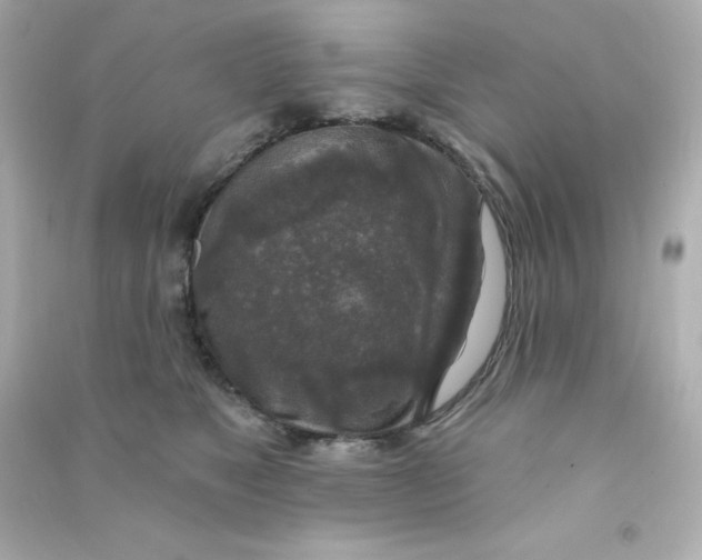 X0000090440517200708102030
