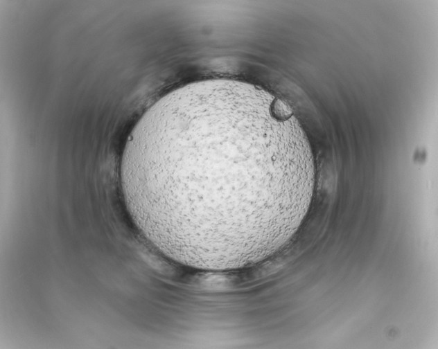 X0000090440518200708102030