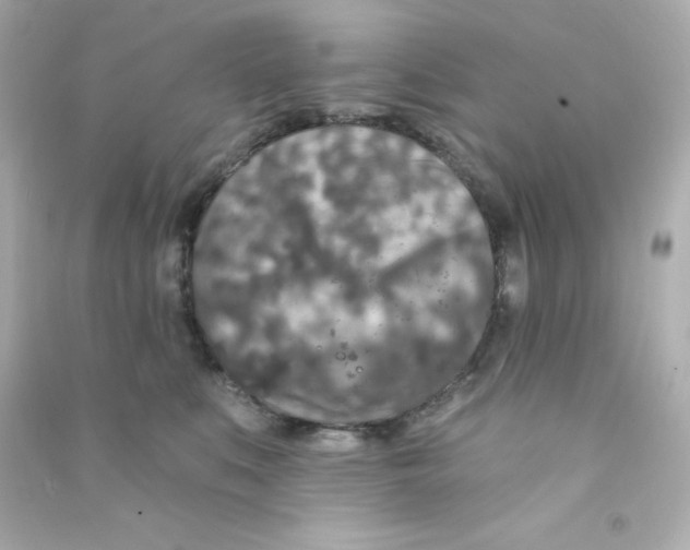 X0000090440519200708102030