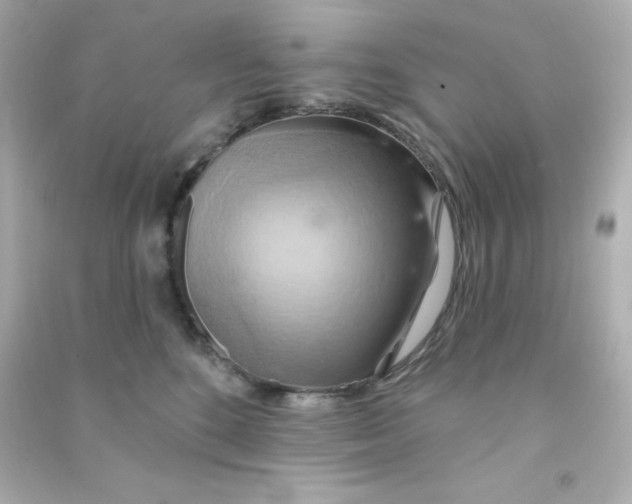 X0000090440520200708102030