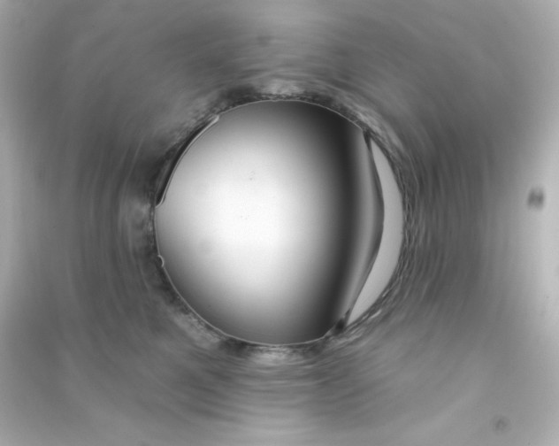 X0000090440521200708102030