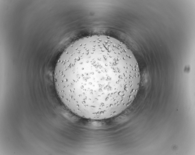 X0000090440522200708102030