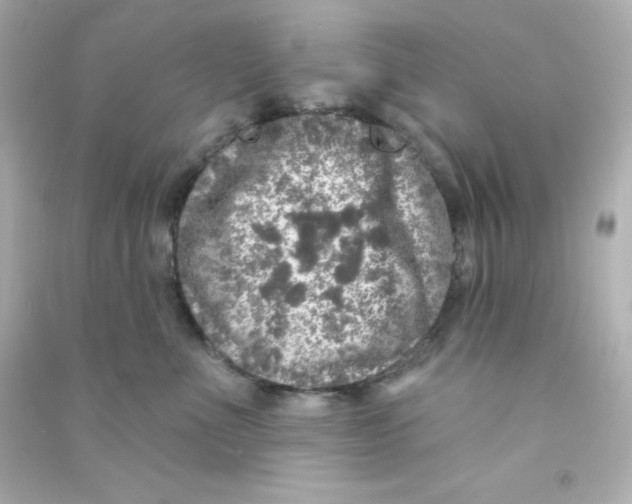 X0000090440523200708102030