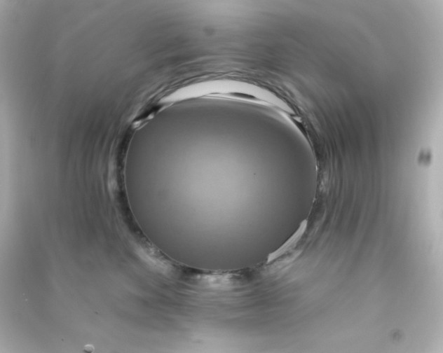 X0000090440524200708102030