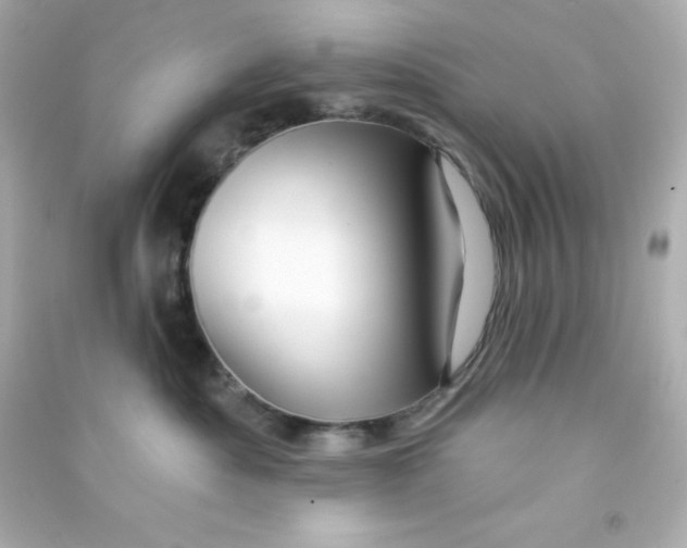 X0000090440525200708102030