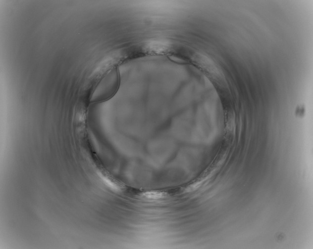 X0000090440526200708102030