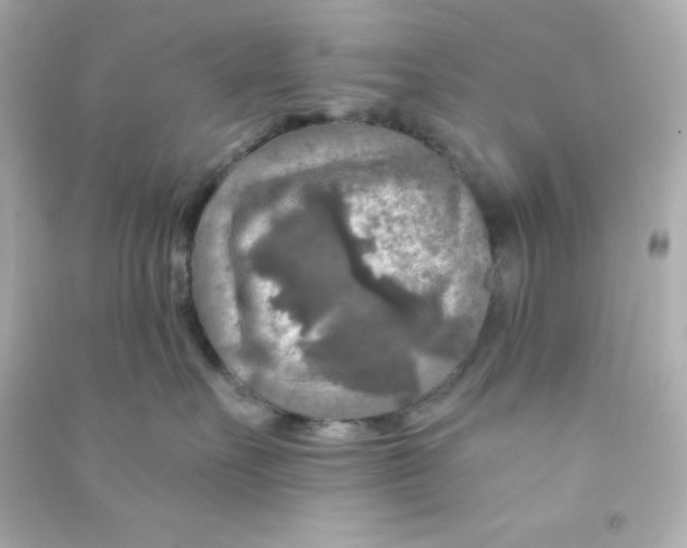X0000090440527200708102030