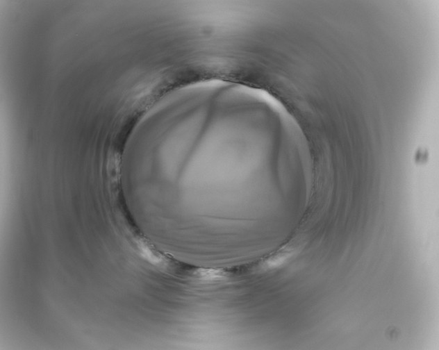 X0000090440528200708102030