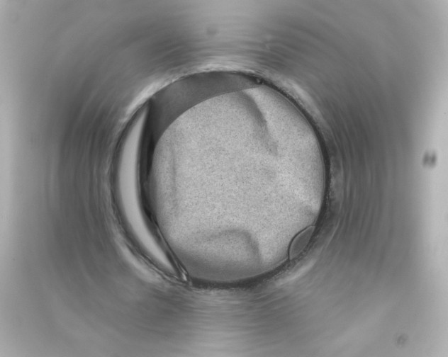 X0000090440530200708102029