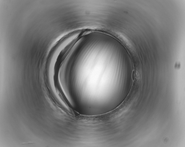 X0000090440532200708102029
