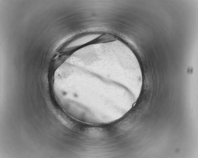 X0000090440535200708102029