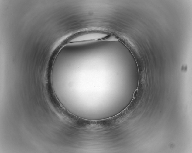X0000090440536200708102029