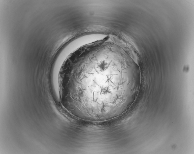 X0000090440538200708102029