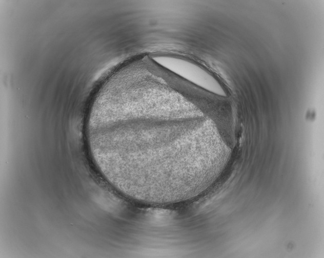 X0000090440539200708102029