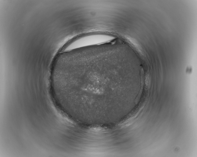 X0000090440540200708102029