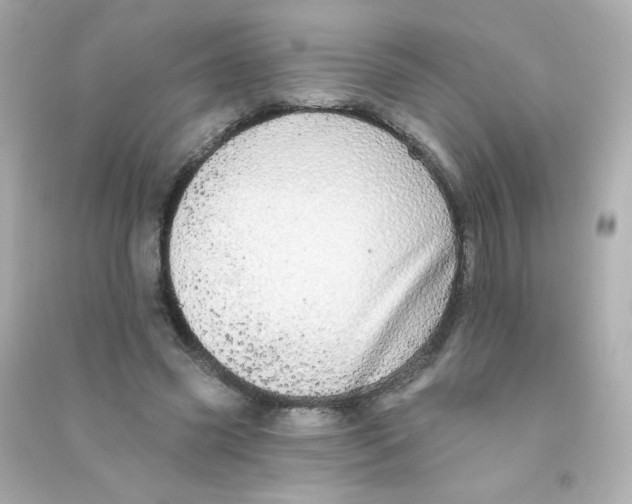 X0000090440541200708102029