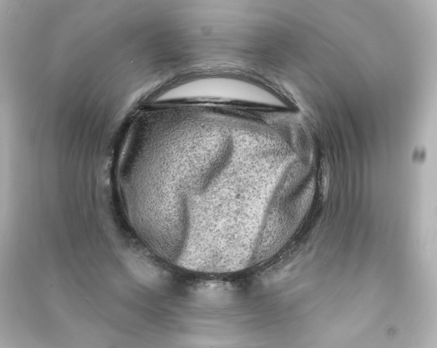 X0000090440543200708102029