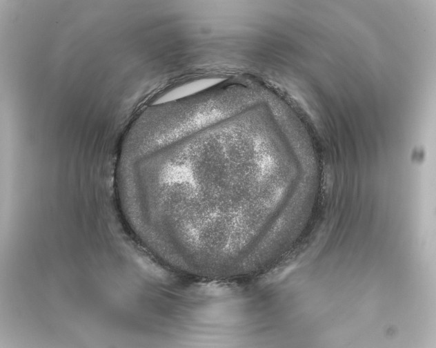 X0000090440545200708102029