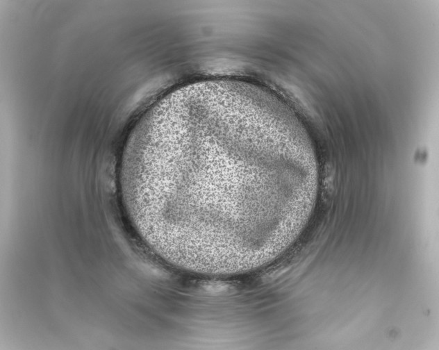 X0000090440547200708102029
