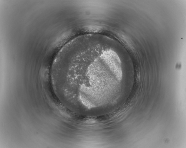 X0000090440551200708102029