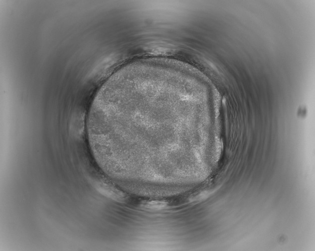 X0000090440554200708102029