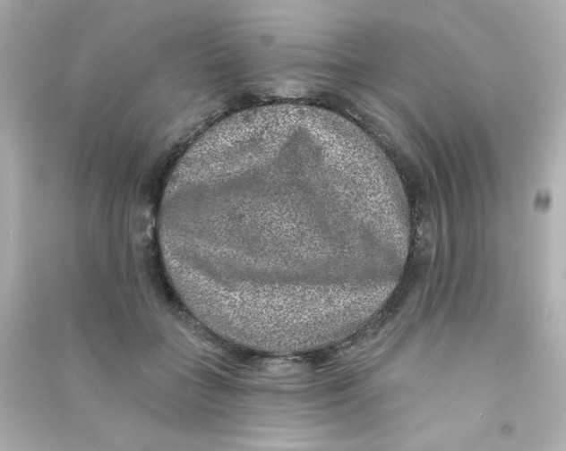 X0000090440555200708102029