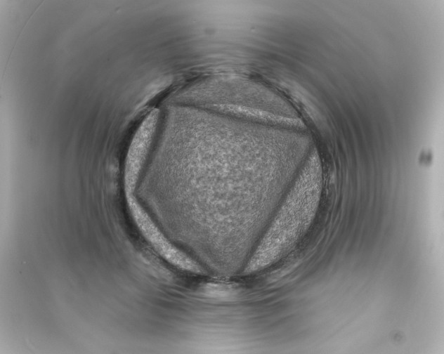 X0000090440556200708102029