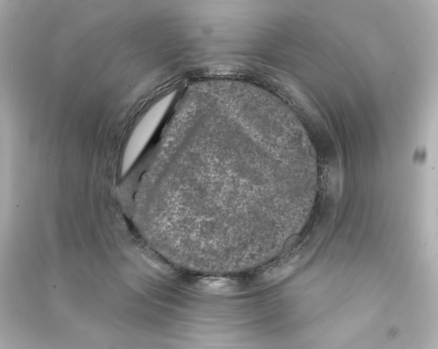 X0000090440557200708102029