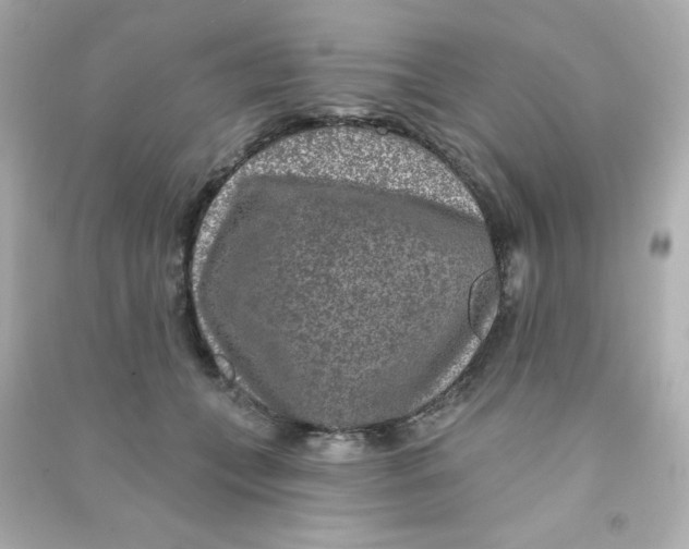 X0000090440559200708102029