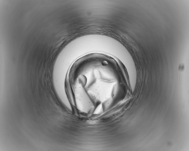 X0000090440560200708102030