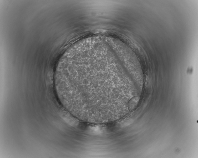 X0000090440561200708102030
