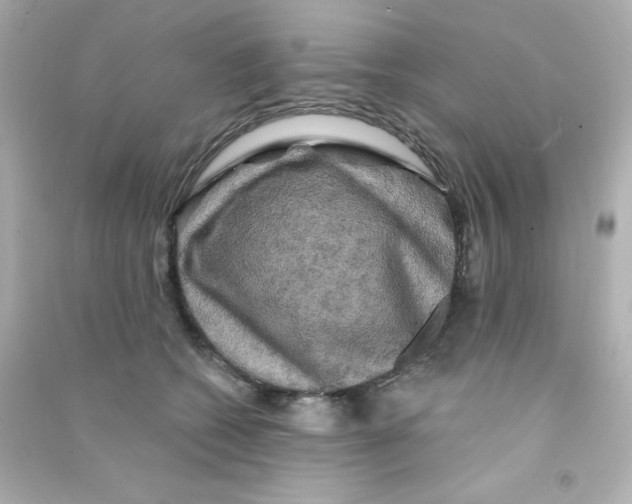 X0000090440562200708102030