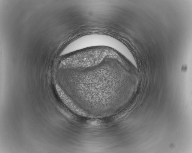 X0000090440564200708102030