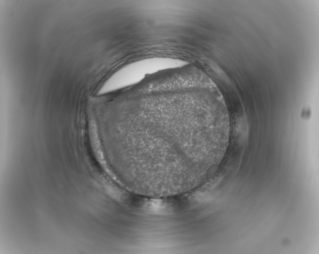 X0000090440565200708102030