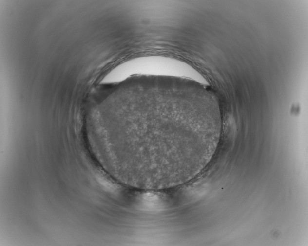X0000090440566200708102030