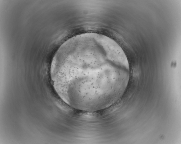 X0000090440567200708102030