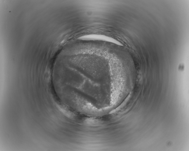 X0000090440568200708102030