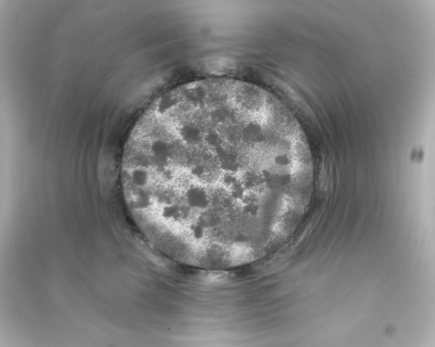 X0000090440569200708102030