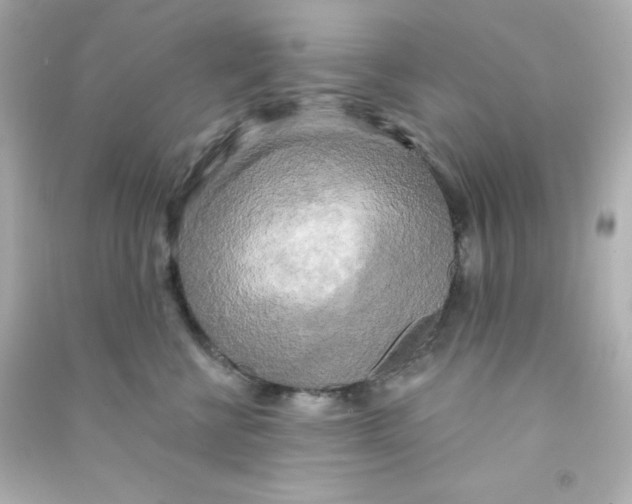 X0000090440570200708102030