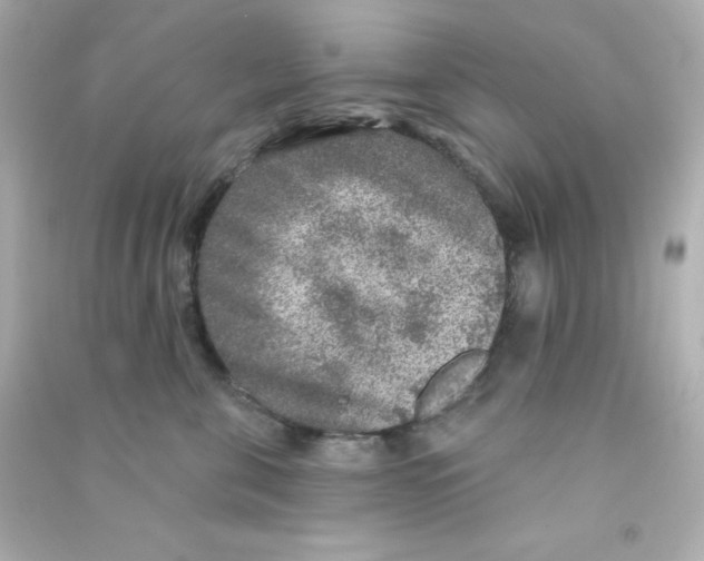 X0000090440571200708102030